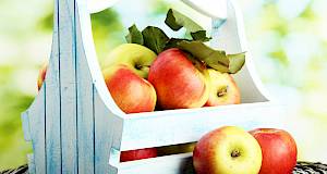 Jabukom do zdravlja