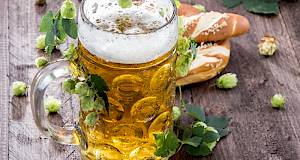 Pivo je dobro za kosti?