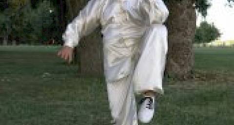 Tai chi chuan u parkovima grada Zagreba