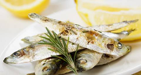 Sardine imaju odlična nutritivna i ljekovita svojstva!