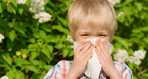 Vrijeme je proljetnih alergija – gdje se sve krije pelud?