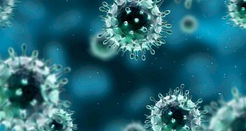 Znanstvenici pronašli dijelove proteina koji uništava HIV kod majmuna