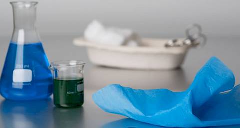 Žohari bi mogli pomoći u borbi protiv MRSA i E.coli