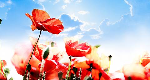 Tjedni horoskop od 26. 9. do 3. 10. 2016.