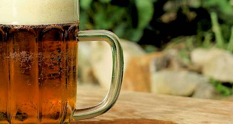 Može li pivo produljiti životni vijek?