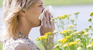 Saznajte kako se uspješno obraniti od alergija!