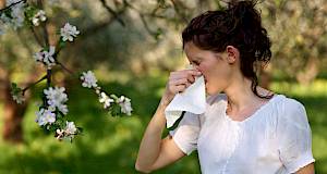 Koja je veza između alergija i imunološkog sustava? I kako ga održati u ravnoteži?
