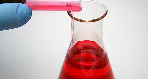Bilirubin test